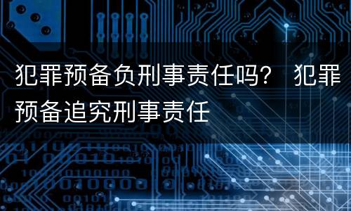 犯罪预备负刑事责任吗？ 犯罪预备追究刑事责任