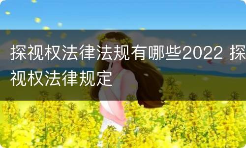 探视权法律法规有哪些2022 探视权法律规定