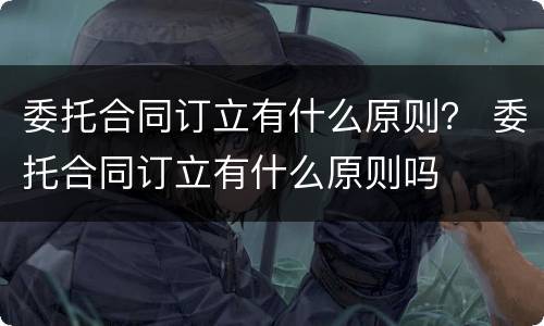委托合同订立有什么原则？ 委托合同订立有什么原则吗
