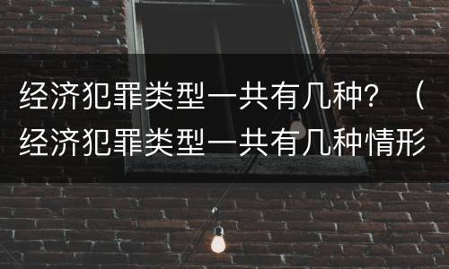 经济犯罪类型一共有几种？（经济犯罪类型一共有几种情形）