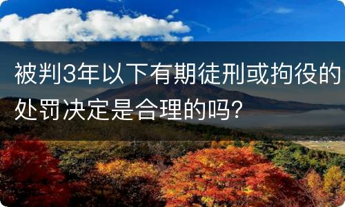 被判3年以下有期徒刑或拘役的处罚决定是合理的吗？