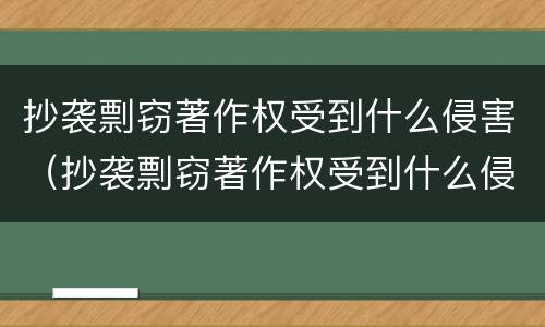 抄袭剽窃著作权受到什么侵害（抄袭剽窃著作权受到什么侵害呢）
