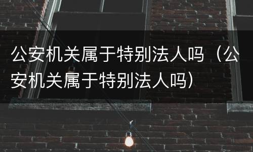 公安机关属于特别法人吗（公安机关属于特别法人吗）