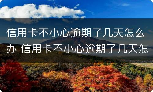 信用卡不小心逾期了几天怎么办 信用卡不小心逾期了几天怎么办呢