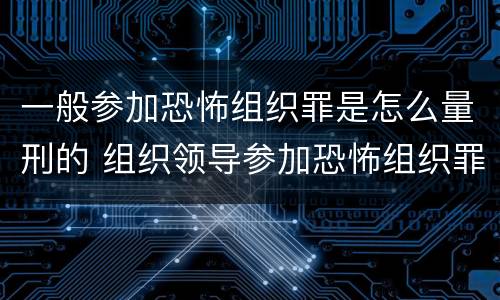 一般参加恐怖组织罪是怎么量刑的 组织领导参加恐怖组织罪规定在我国刑法