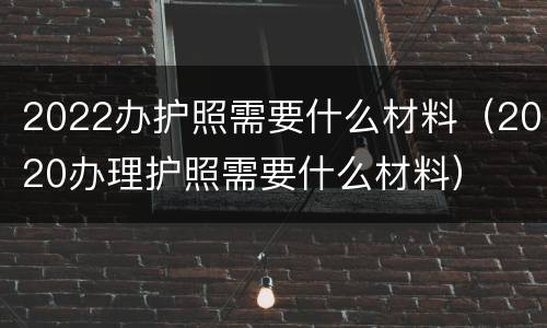 2022办护照需要什么材料（2020办理护照需要什么材料）