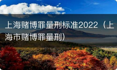 上海赌博罪量刑标准2022（上海市赌博罪量刑）
