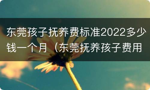 东莞孩子抚养费标准2022多少钱一个月（东莞抚养孩子费用）
