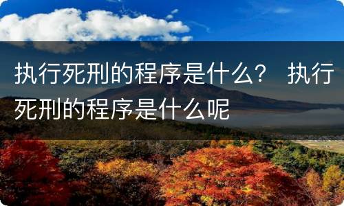 执行死刑的程序是什么？ 执行死刑的程序是什么呢