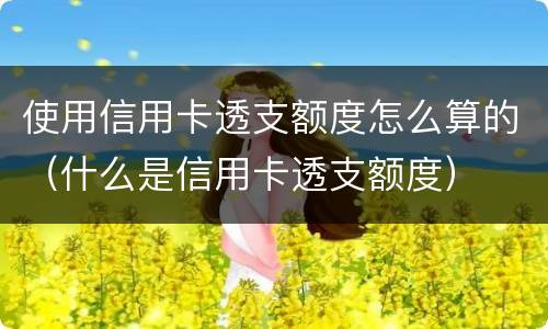 使用信用卡透支额度怎么算的（什么是信用卡透支额度）