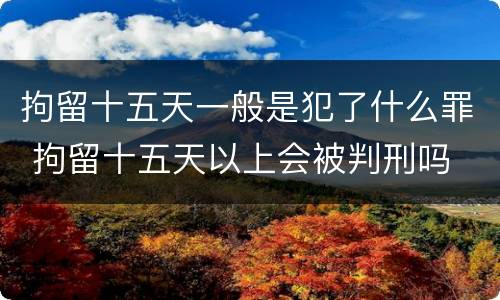 拘留十五天一般是犯了什么罪 拘留十五天以上会被判刑吗
