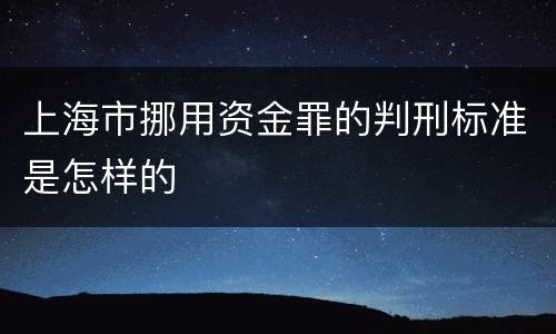 上海市挪用资金罪的判刑标准是怎样的
