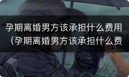 孕期离婚男方该承担什么费用（孕期离婚男方该承担什么费用呢）