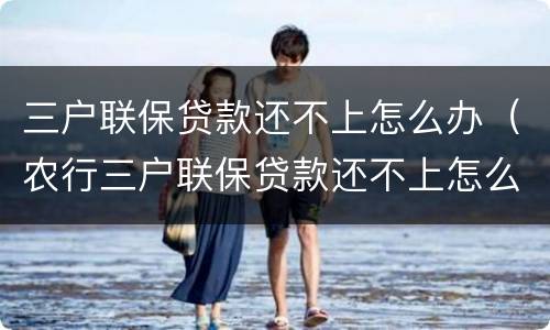 三户联保贷款还不上怎么办（农行三户联保贷款还不上怎么办）