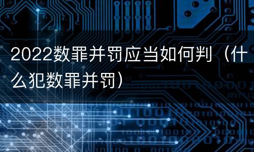 2022数罪并罚应当如何判（什么犯数罪并罚）