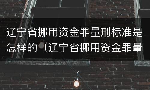 辽宁省挪用资金罪量刑标准是怎样的（辽宁省挪用资金罪量刑标准是怎样的呢）