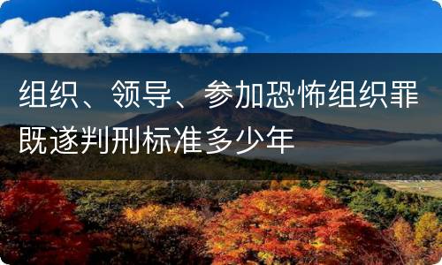 组织、领导、参加恐怖组织罪既遂判刑标准多少年