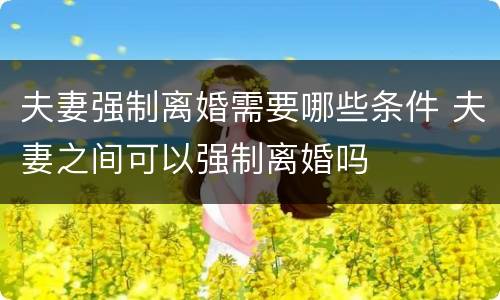 夫妻强制离婚需要哪些条件 夫妻之间可以强制离婚吗