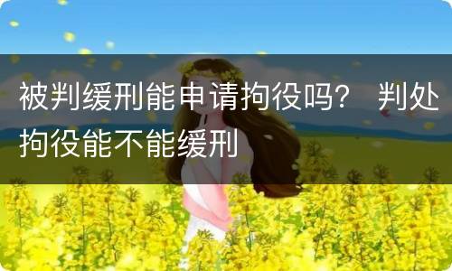 被判缓刑能申请拘役吗？ 判处拘役能不能缓刑