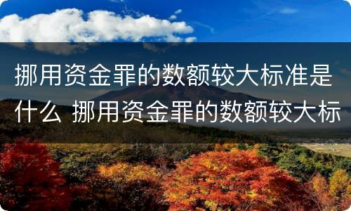 挪用资金罪的数额较大标准是什么 挪用资金罪的数额较大标准是什么