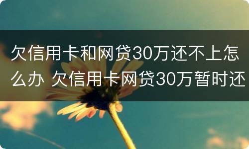 欠信用卡和网贷30万还不上怎么办 欠信用卡网贷30万暂时还不起