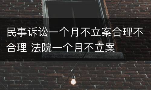 民事诉讼一个月不立案合理不合理 法院一个月不立案