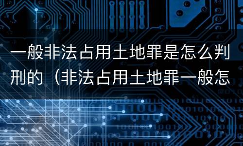 一般非法占用土地罪是怎么判刑的（非法占用土地罪一般怎么判决）