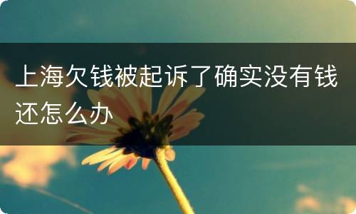 上海欠钱被起诉了确实没有钱还怎么办