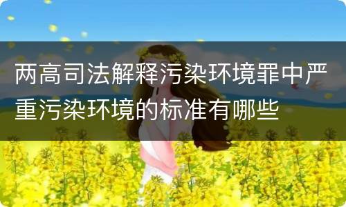 两高司法解释污染环境罪中严重污染环境的标准有哪些