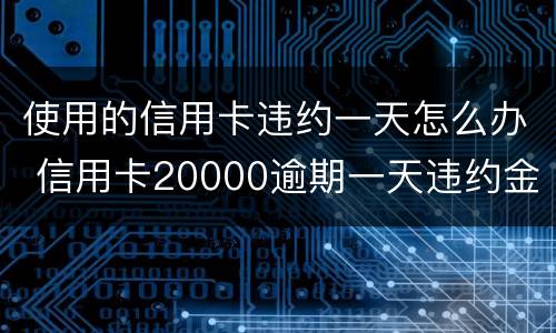 使用的信用卡违约一天怎么办 信用卡20000逾期一天违约金