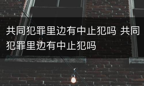 共同犯罪里边有中止犯吗 共同犯罪里边有中止犯吗