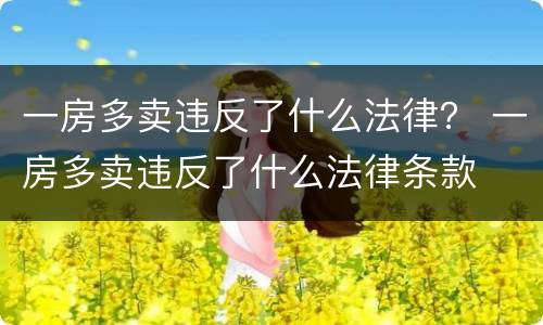 一房多卖违反了什么法律？ 一房多卖违反了什么法律条款