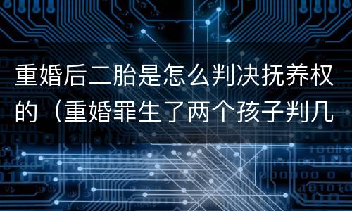 重婚后二胎是怎么判决抚养权的（重婚罪生了两个孩子判几年）