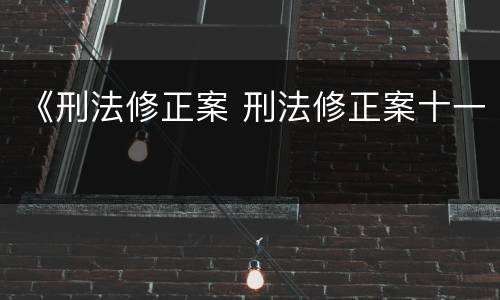 《刑法修正案 刑法修正案十一