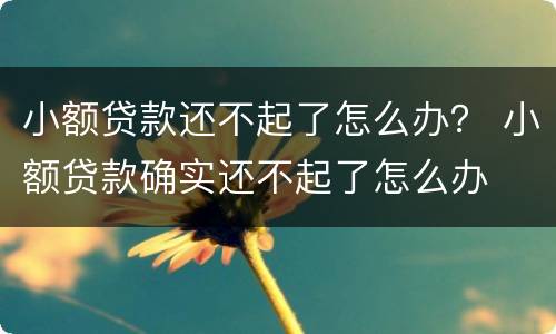 小额贷款还不起了怎么办？ 小额贷款确实还不起了怎么办