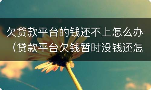 欠贷款平台的钱还不上怎么办（贷款平台欠钱暂时没钱还怎么办）