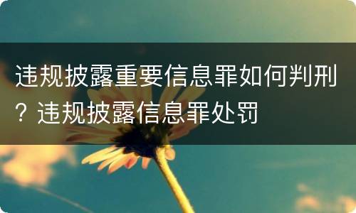 违规披露重要信息罪如何判刑? 违规披露信息罪处罚