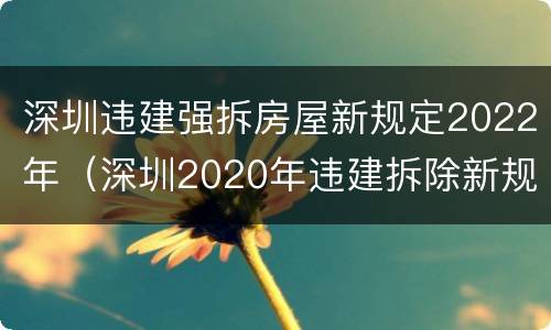 深圳违建强拆房屋新规定2022年（深圳2020年违建拆除新规）