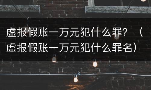 虚报假账一万元犯什么罪？（虚报假账一万元犯什么罪名）
