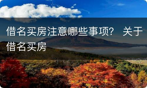 借名买房注意哪些事项？ 关于借名买房