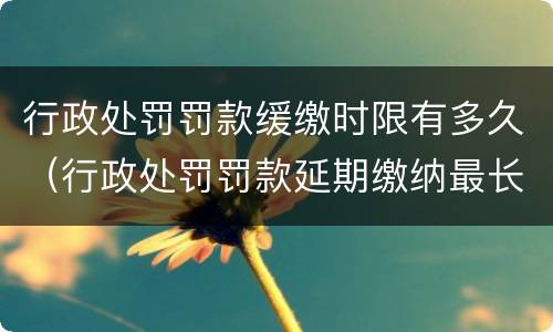 行政处罚罚款缓缴时限有多久（行政处罚罚款延期缴纳最长多长时间）