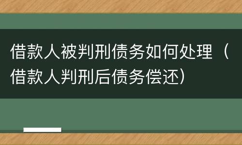 借款人被判刑债务如何处理（借款人判刑后债务偿还）