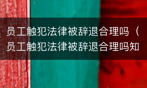 员工触犯法律被辞退合理吗（员工触犯法律被辞退合理吗知乎）