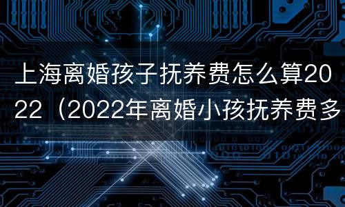 上海离婚孩子抚养费怎么算2022（2022年离婚小孩抚养费多少）