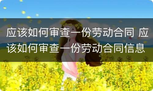 应该如何审查一份劳动合同 应该如何审查一份劳动合同信息