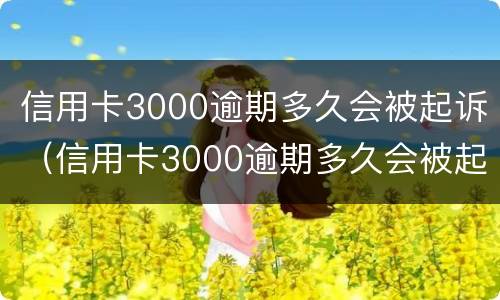 信用卡3000逾期多久会被起诉（信用卡3000逾期多久会被起诉呢）