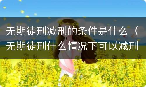 无期徒刑减刑的条件是什么（无期徒刑什么情况下可以减刑）
