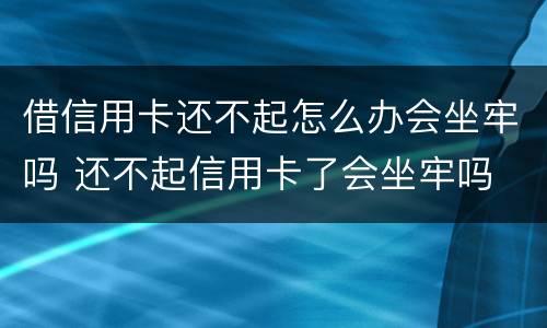 借信用卡还不起怎么办会坐牢吗 还不起信用卡了会坐牢吗