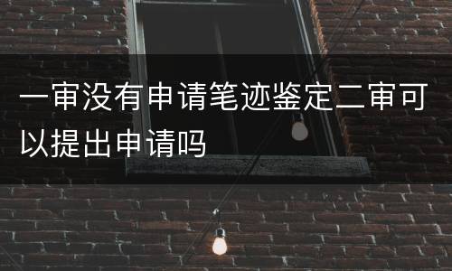 一审没有申请笔迹鉴定二审可以提出申请吗