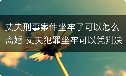 丈夫刑事案件坐牢了可以怎么离婚 丈夫犯罪坐牢可以凭判决书离婚吗